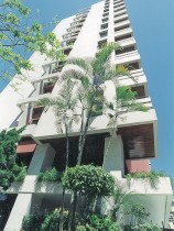 aroeira aroeira